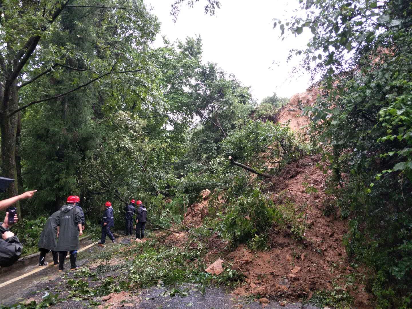 ����lewin��(�й�)ȫվ