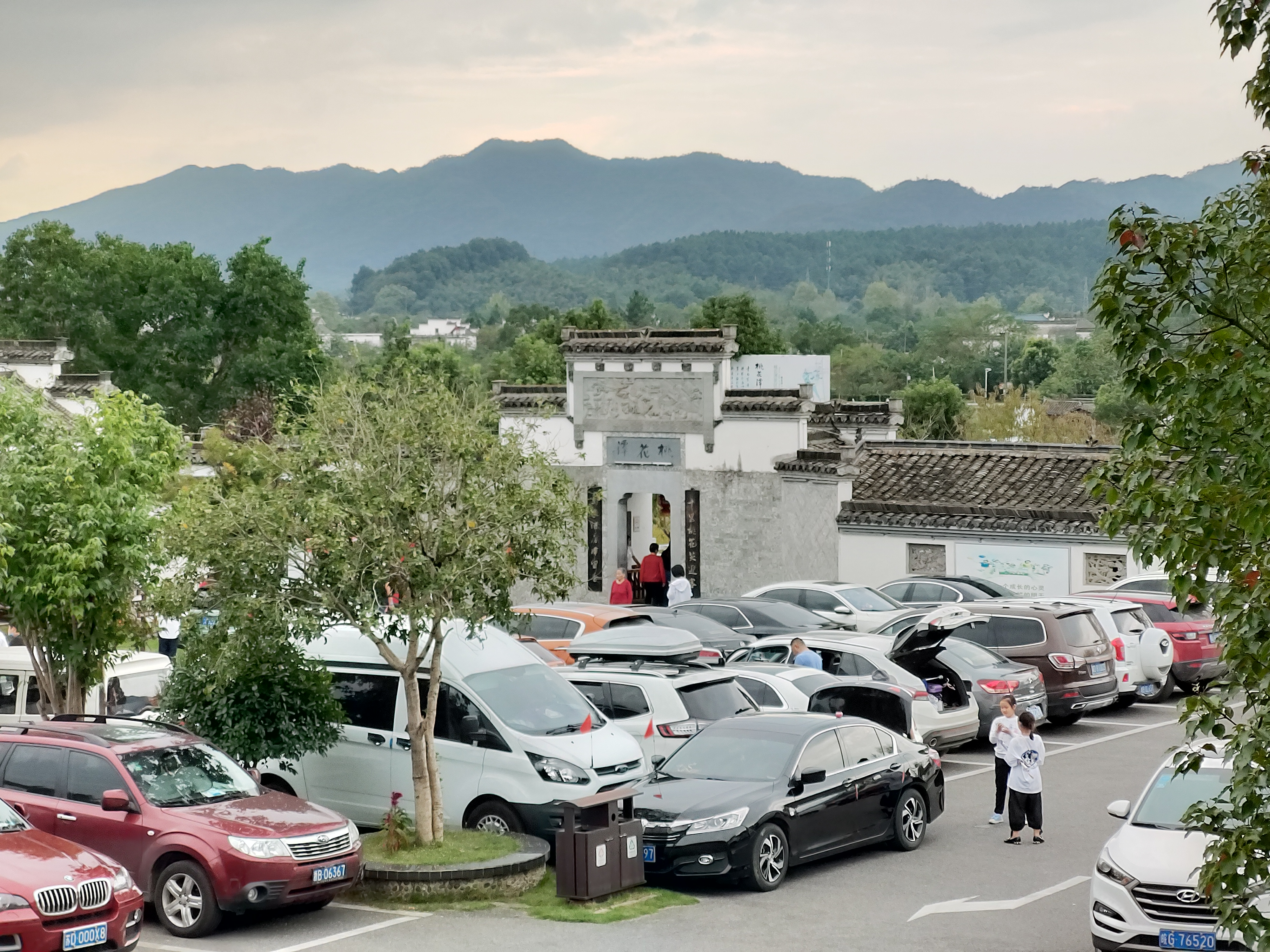 ����lewin��(�й�)ȫվ