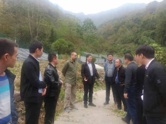 ����lewin��(�й�)ȫվ