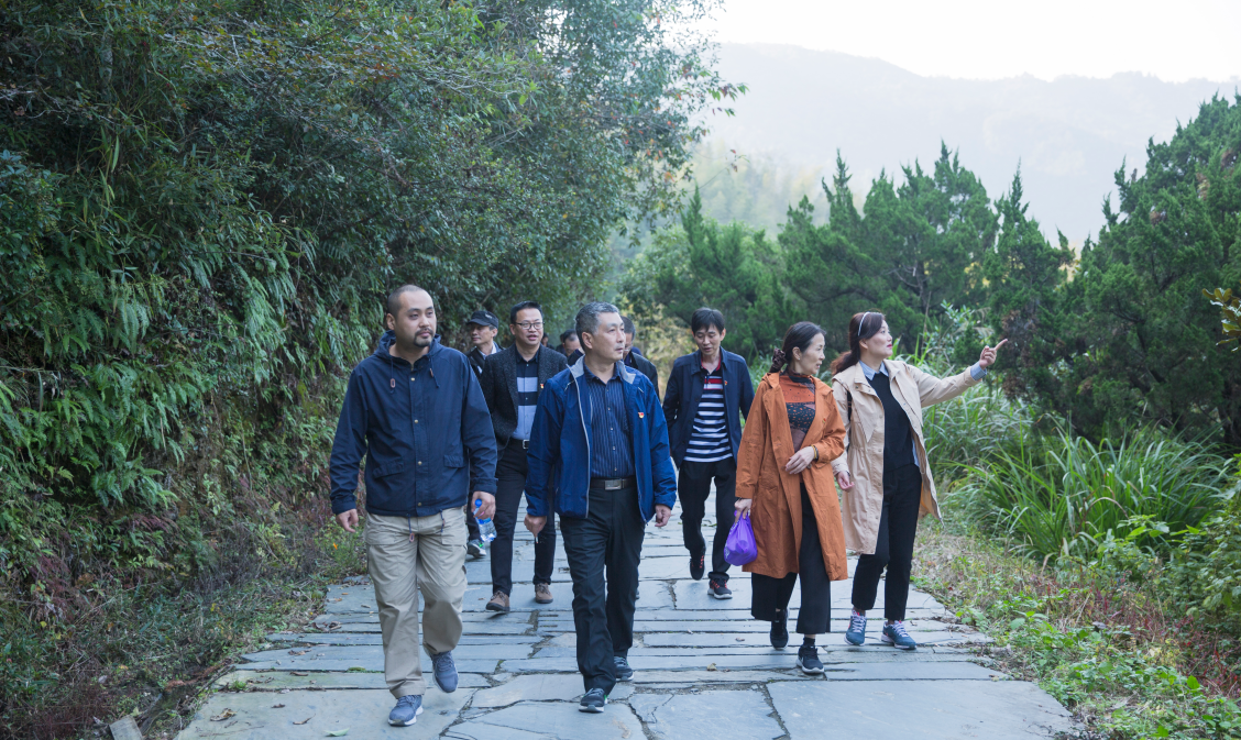 ����lewin��(�й�)ȫվ