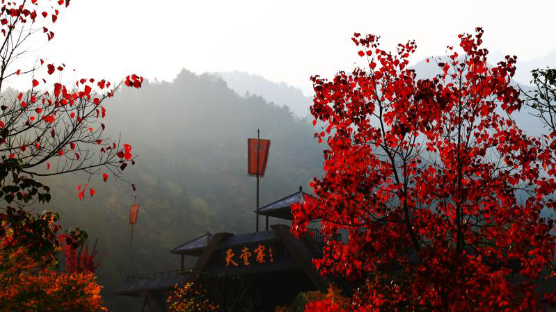 ����lewin��(�й�)ȫվ