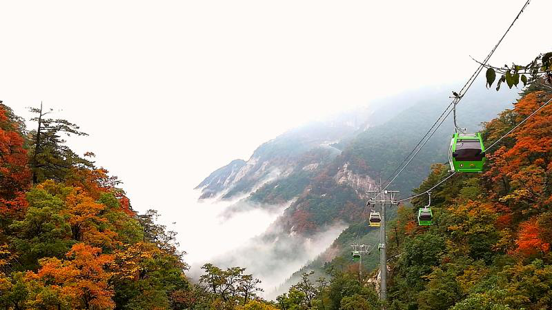 ����lewin��(�й�)ȫվ