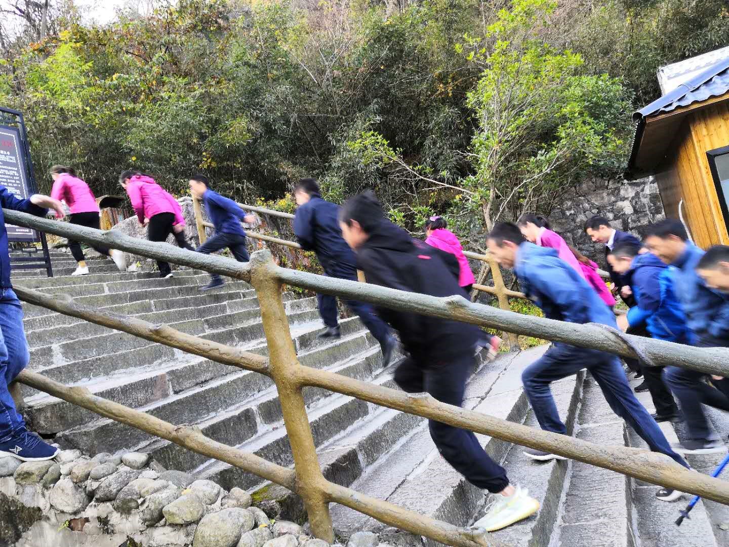 ����lewin��(�й�)ȫվ