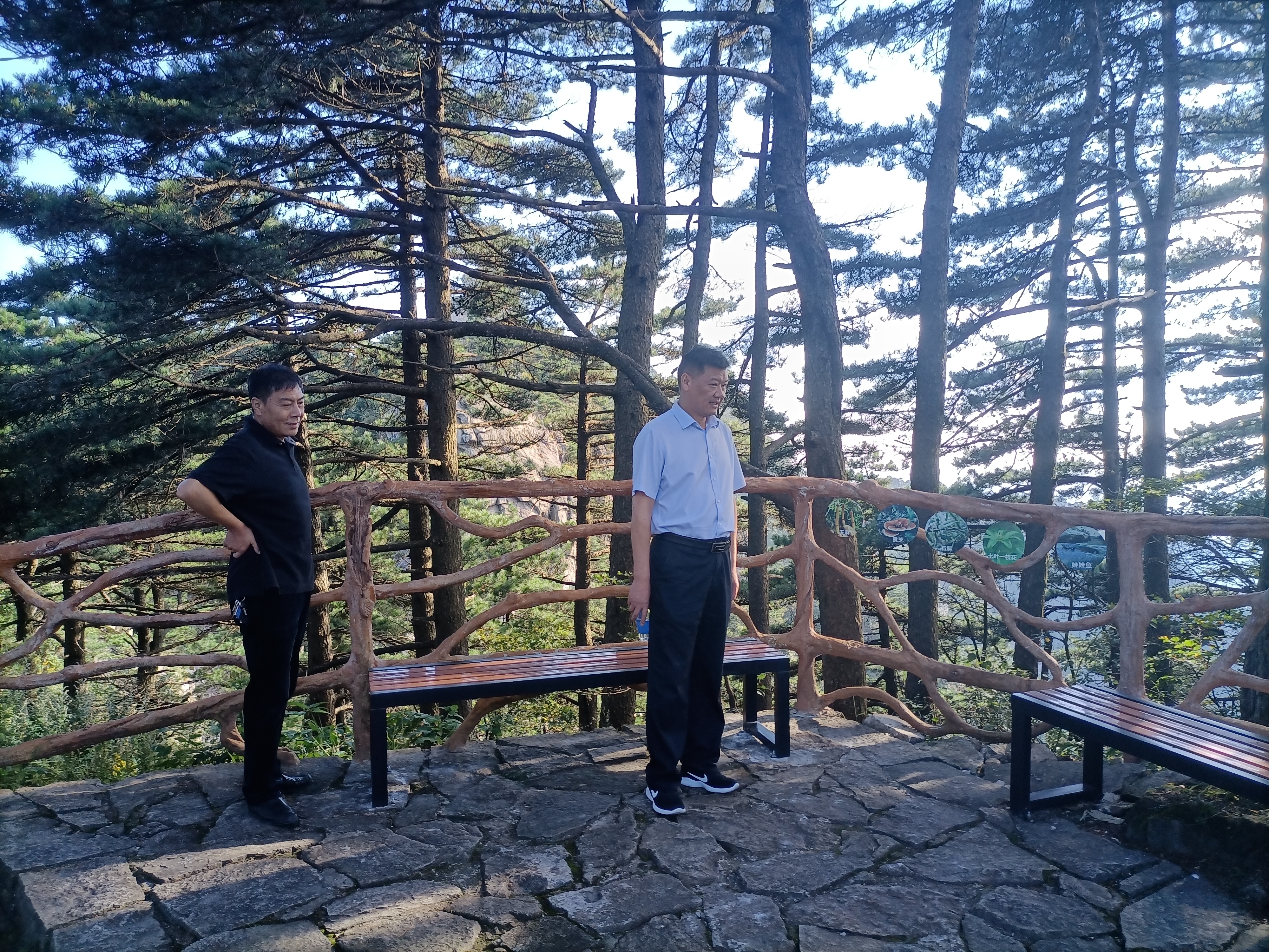 ����lewin��(�й�)ȫվ