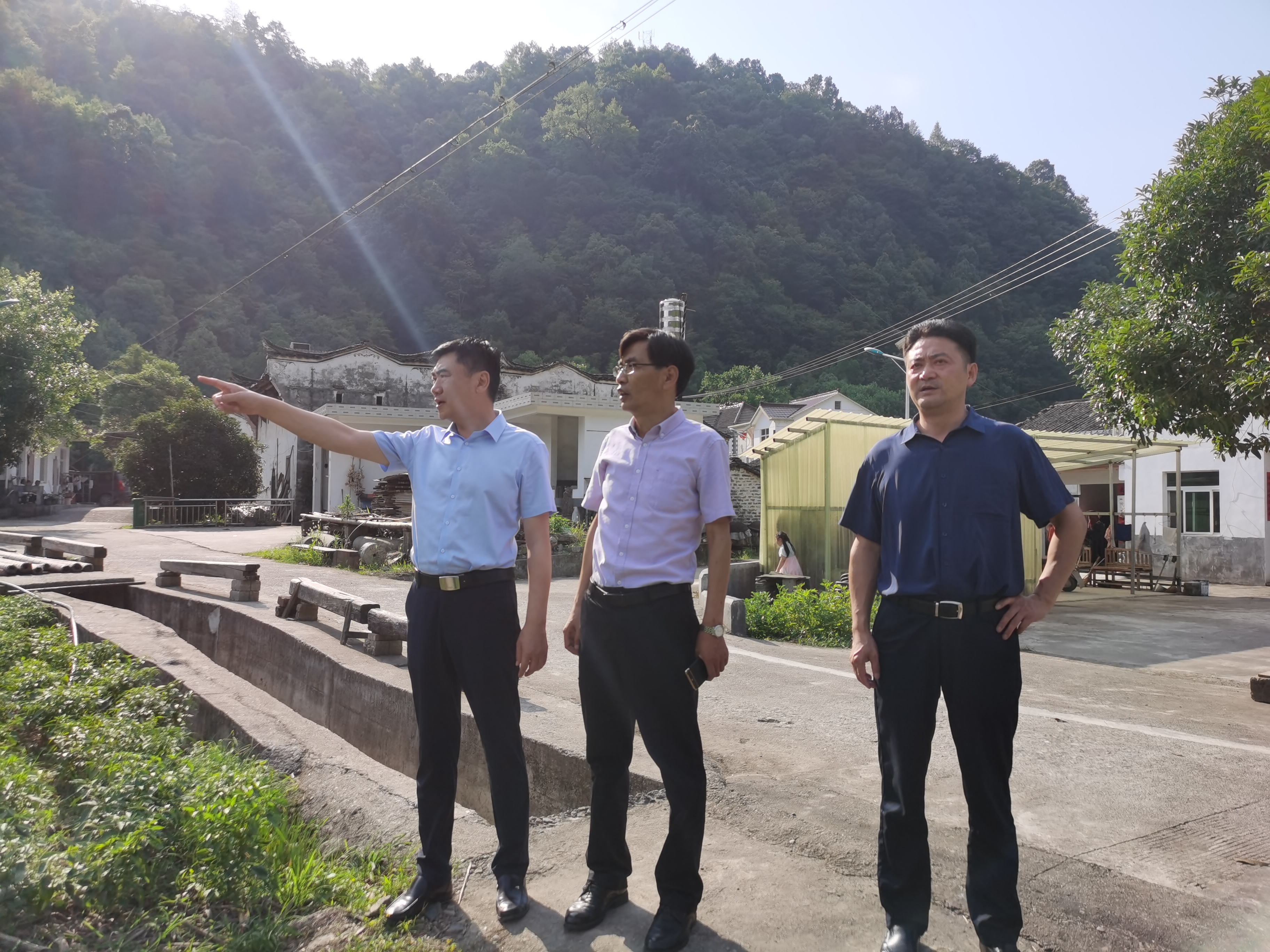 ����lewin��(�й�)ȫվ