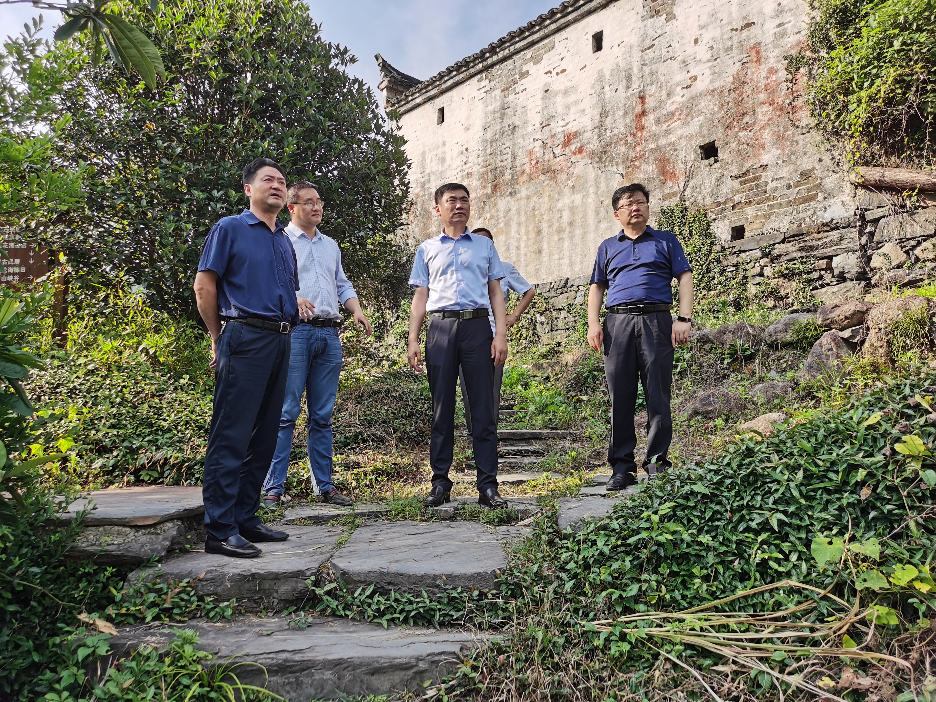 ����lewin��(�й�)ȫվ