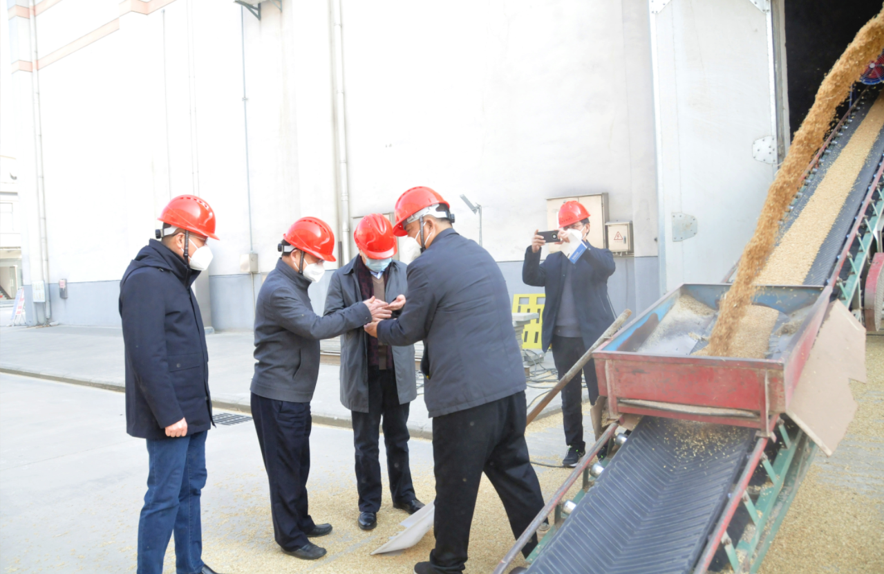 ����lewin��(�й�)ȫվ