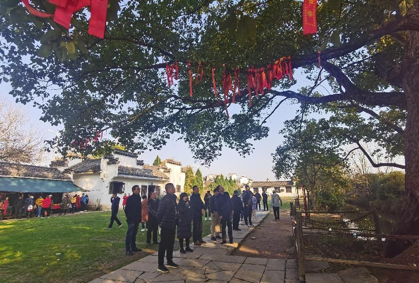 ����lewin��(�й�)ȫվ