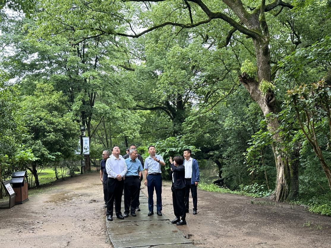 ����lewin��(�й�)ȫվ