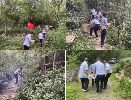 ����lewin��(�й�)ȫվ