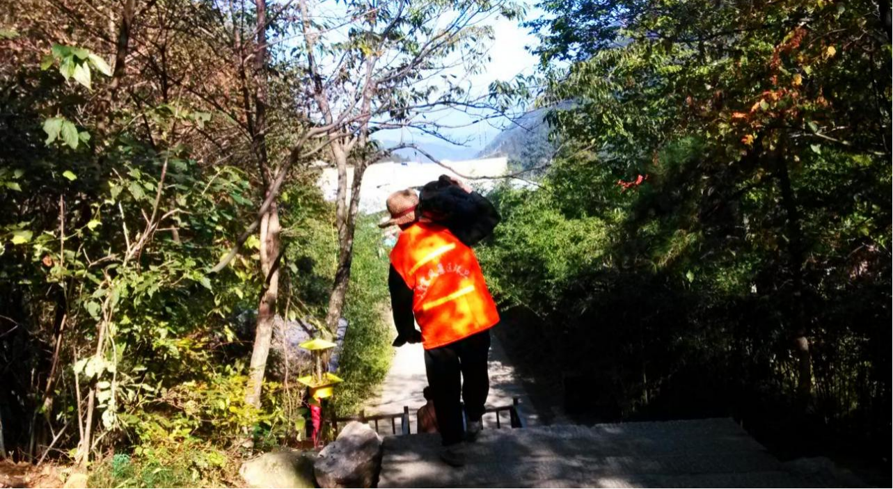 ����lewin��(�й�)ȫվ