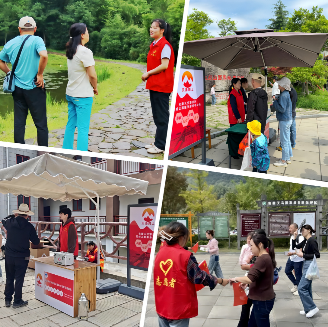 ����lewin��(�й�)ȫվ