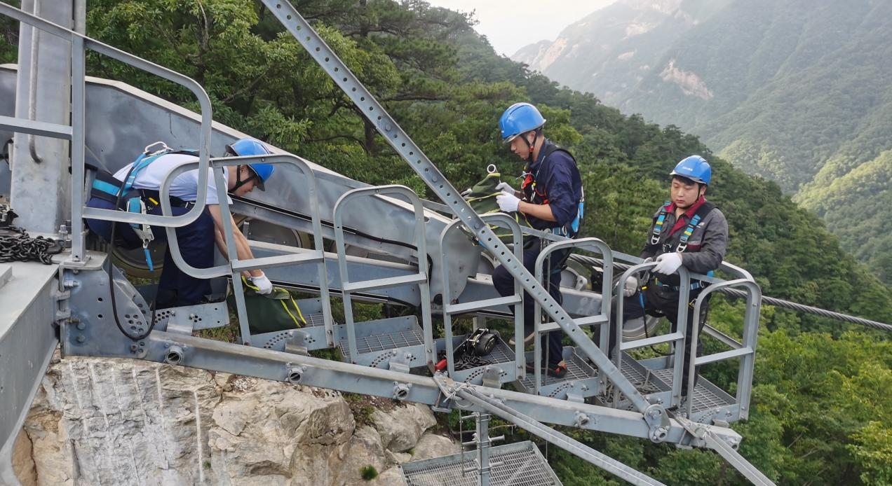 ����lewin��(�й�)ȫվ